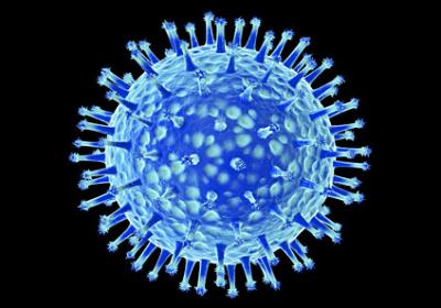 Los menores de 14 años serán vacunados contra la gripe A