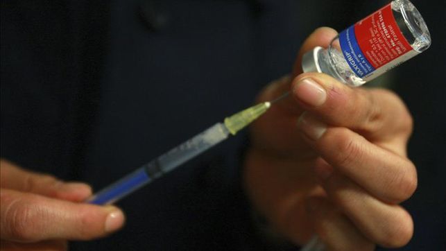 Al menos 24 muertos por gripe A desde diciembre en Egipto